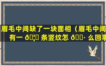 眉毛中间缺了一块面相（眉毛中间有一 🦍 条竖纹怎 🕷 么回事）